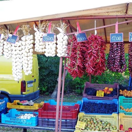 Eva Apartman Fonyód المظهر الخارجي الصورة